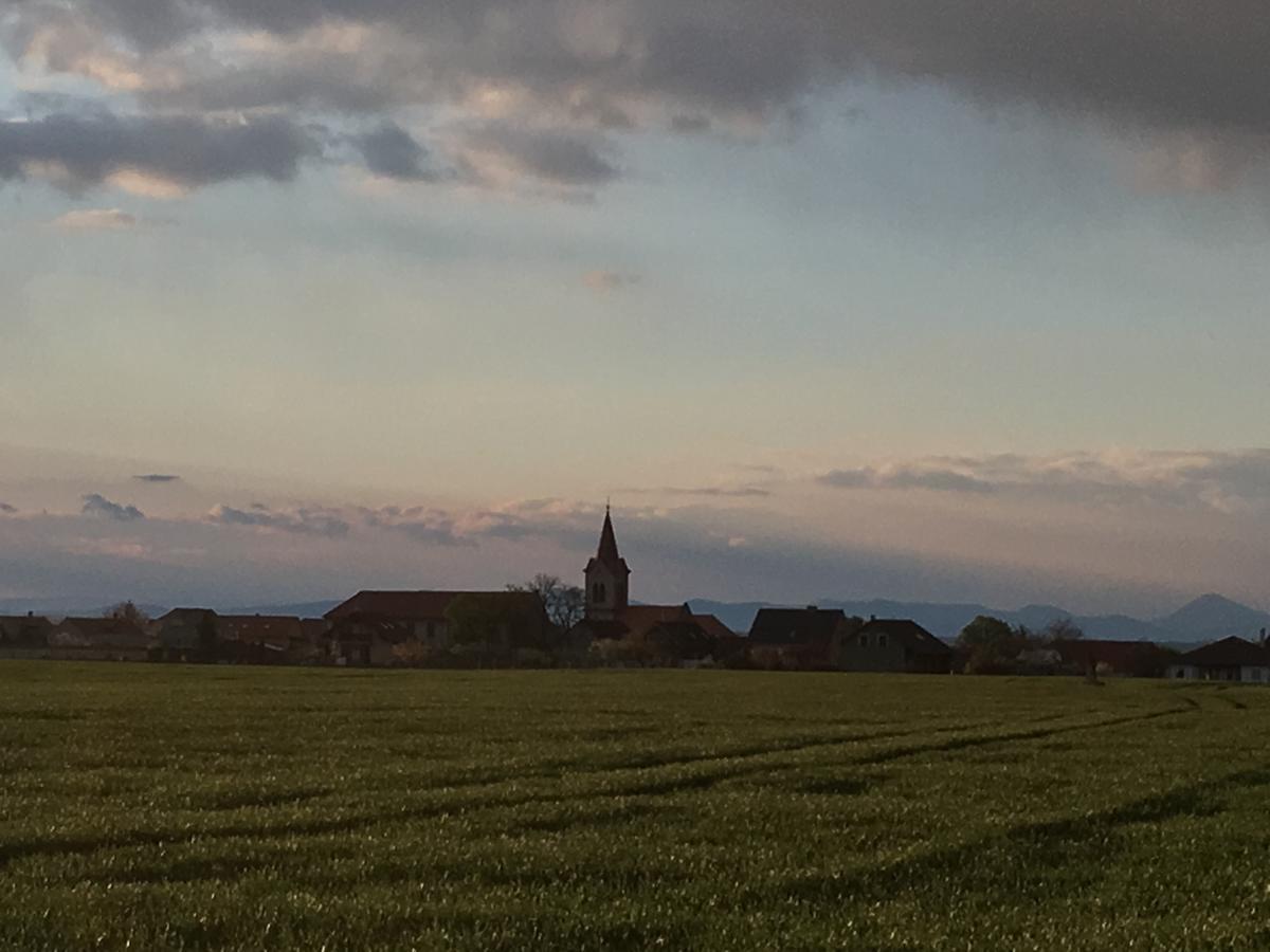 Statek Lunikov Villa Zizice Bagian luar foto